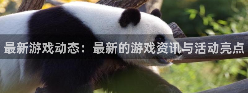 pg电子游戏网站