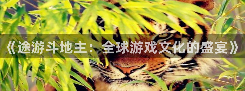 pg电子免费试玩：《途游斗地主：全球游戏文化的盛宴》