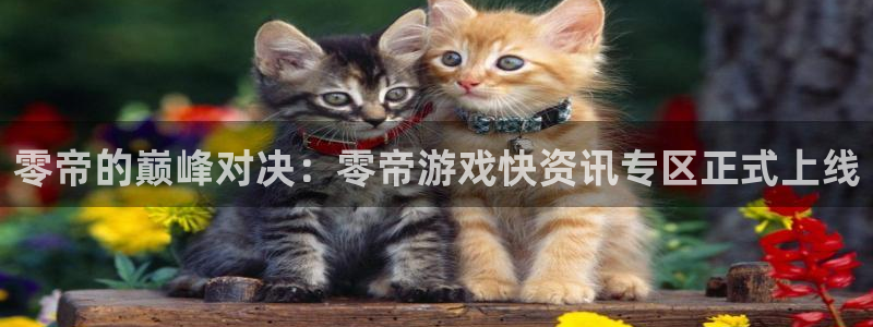 pg电子攻略：零帝的巅峰对决：零帝游戏快资讯专区正式上线