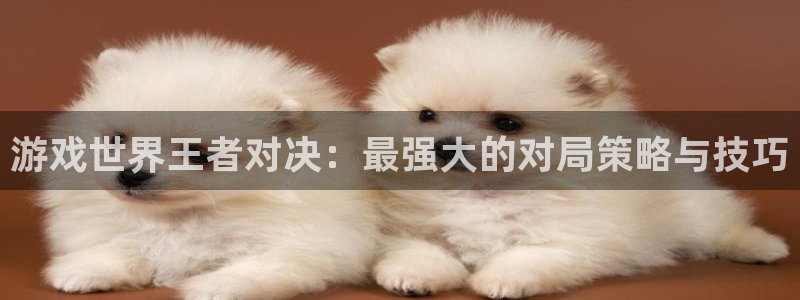 pg电子游戏哪个平台好：游戏世界王者对决：最强大的对局策略与