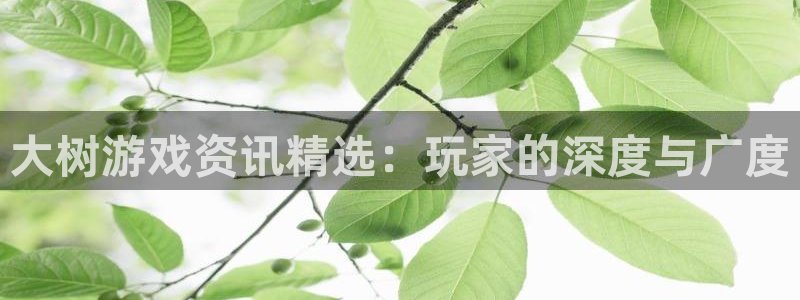 电子pg平台：大树游戏资讯精选：玩家的深度与广度